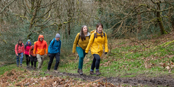 A group of walkers wearing bright raincoats make their way up a wooded path